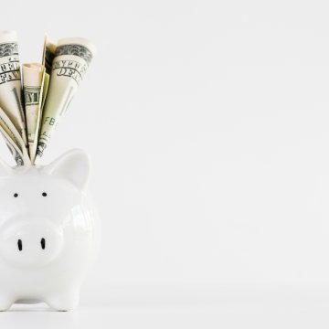 reimage plus pricing system optimizers white piggy bank with dollar bills in it 